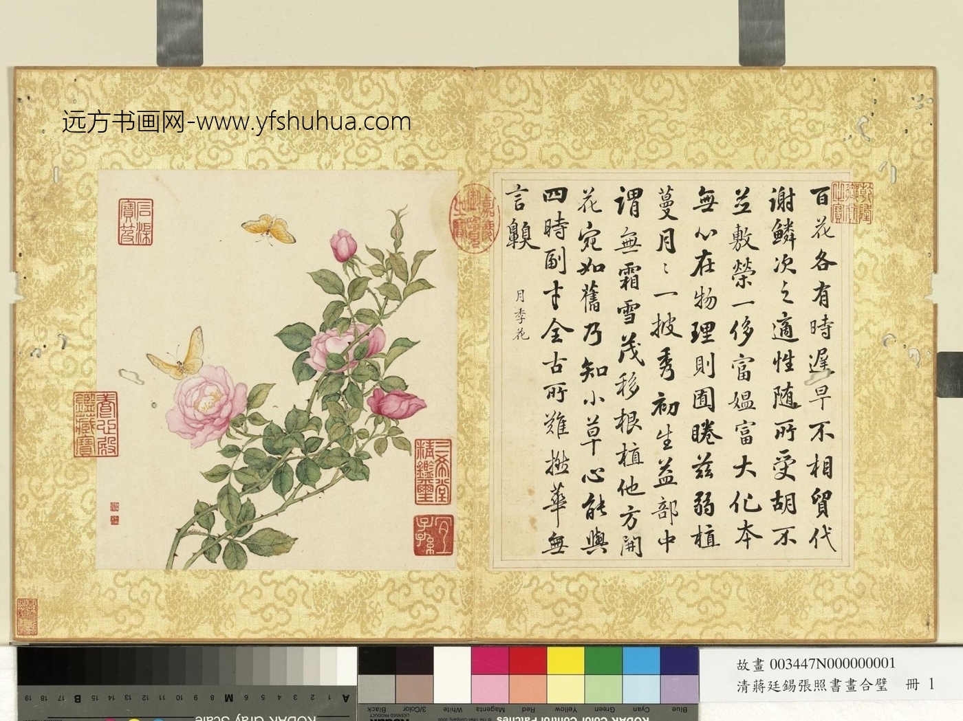 清_蒋廷锡_蒋廷锡张照书画合璧册　月季披秀_0
